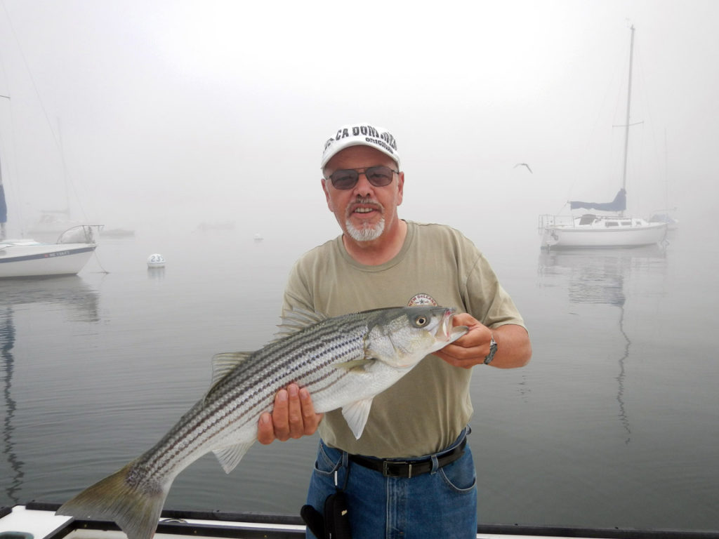 Fish for striped bass on the piscataqua river near Kittery Maine fly fishing