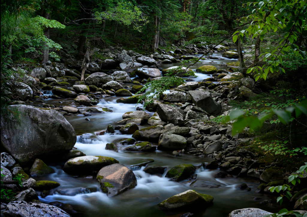 creek stream image in great smoky mountains national park photo forest beauty photographs vacation road trip adventure 