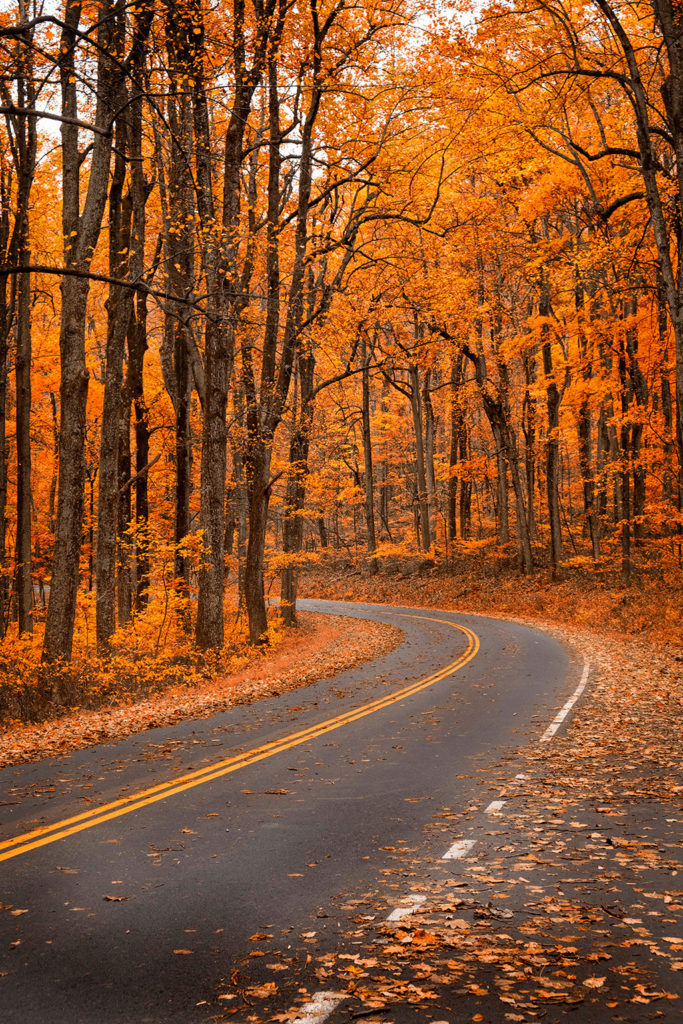 best fall foliage motorcycle rides